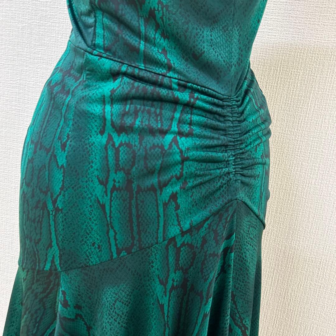 1点物 チャコット社交ダンスラテンワンピース緑ヘビ柄 ご覧くださり