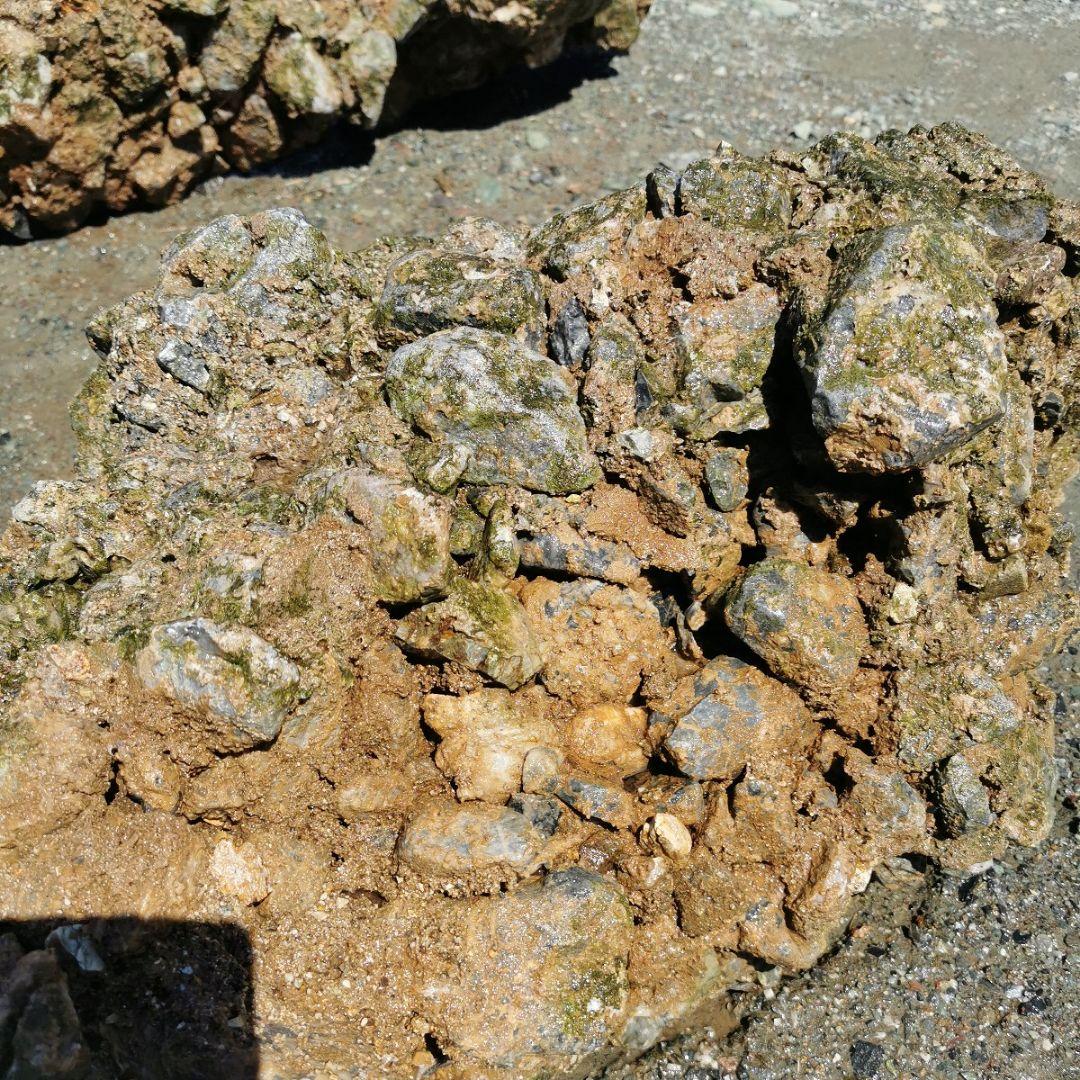 岐阜県 揖斐川産 さざれ石 64キロ 庭石 鑑賞石 石 庭 坪庭