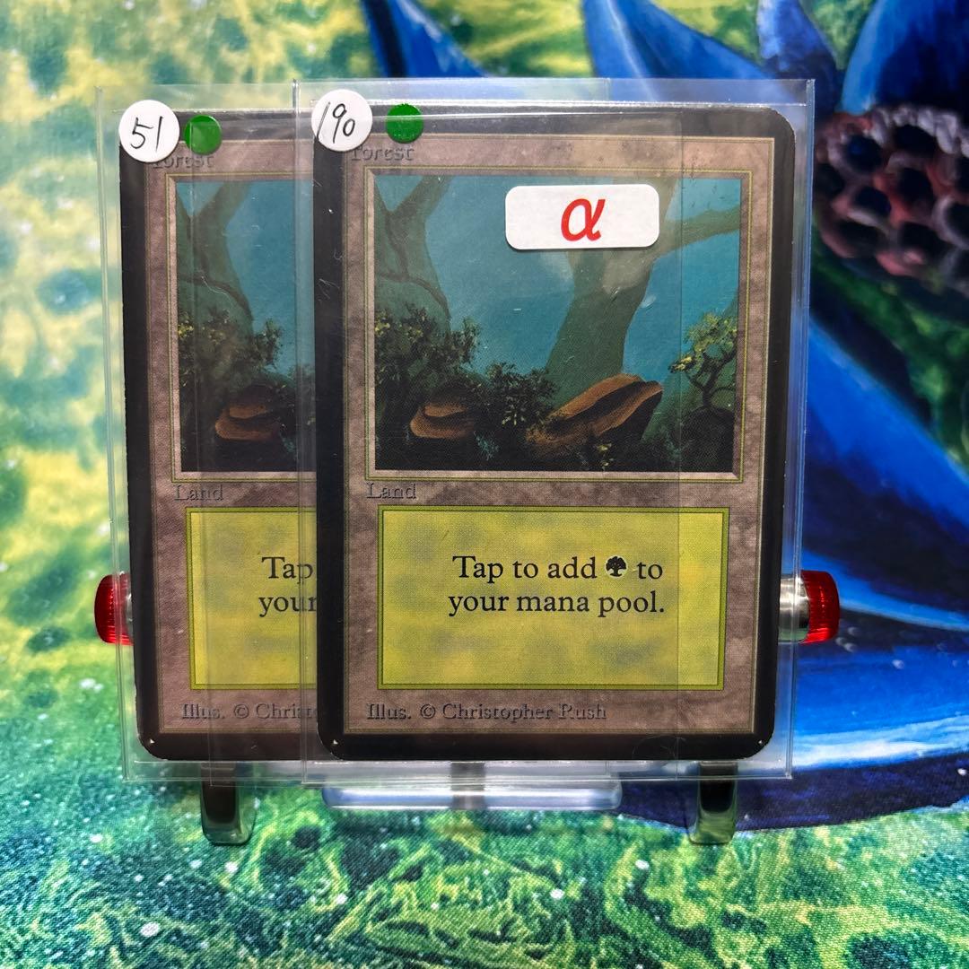 51 190 《森/Forest》MTG アルファ α [LEA] 基本土地 - メルカリ