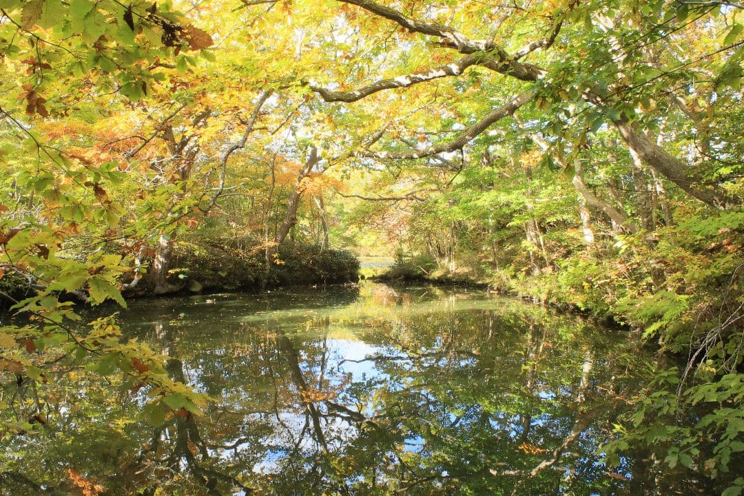 《銘珍玉》KOMURANON 28mm F2.5【光学美品】