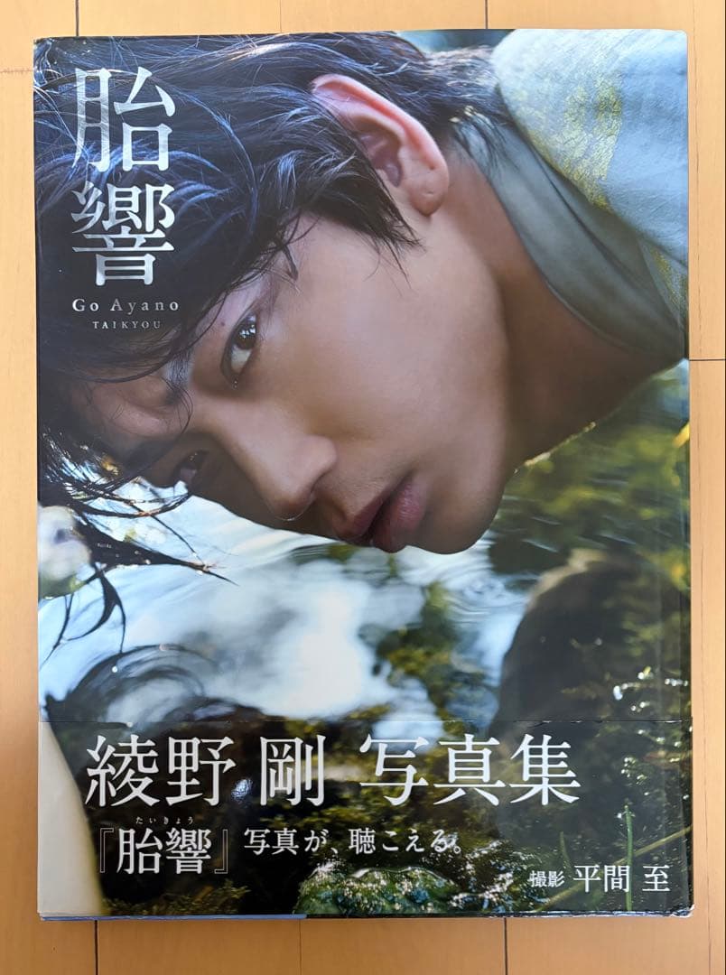 綾野剛 写真集 胎響 - メルカリ