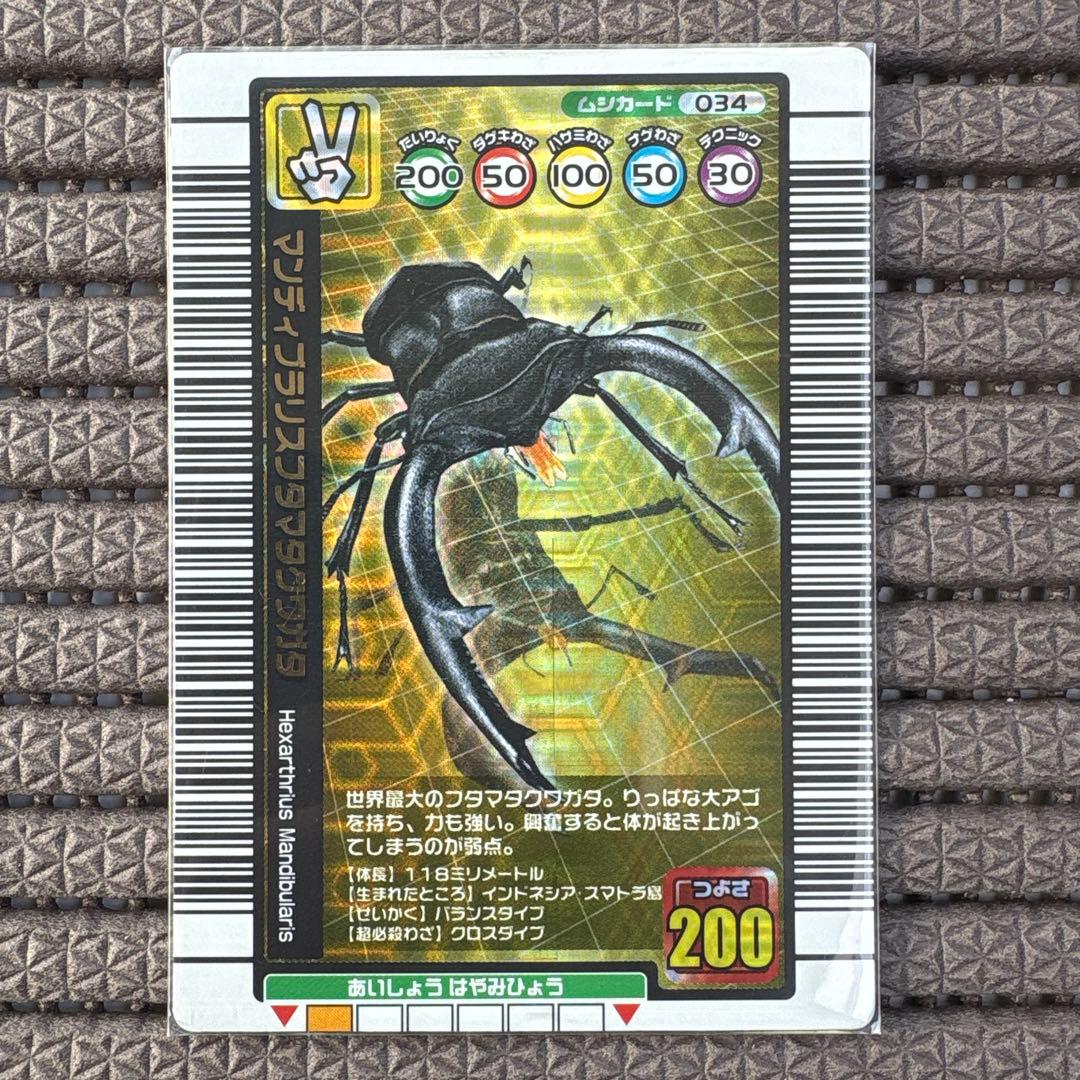 希少 マンディブラリスフタマタクワガタ 1億枚突破記念限定デザイン