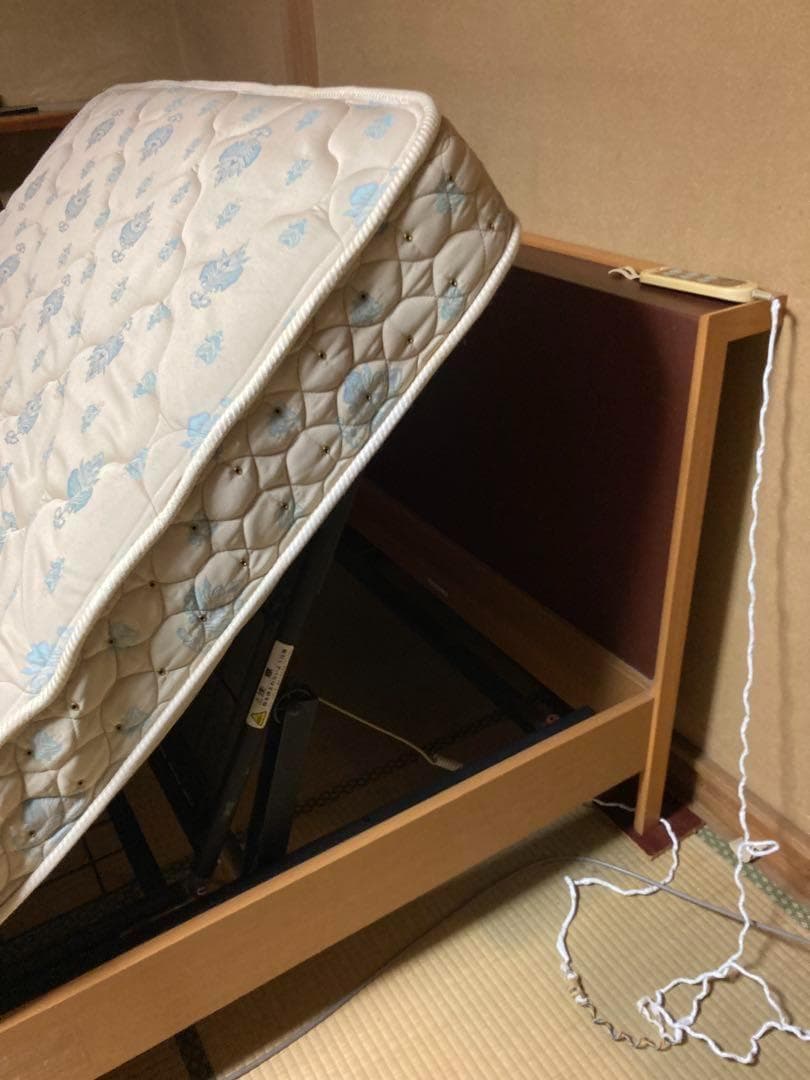 介護用フランスベッド　リモコン操作可 寝る、座る、立ち上がるをサポートする介護ベッド! マルチポジション