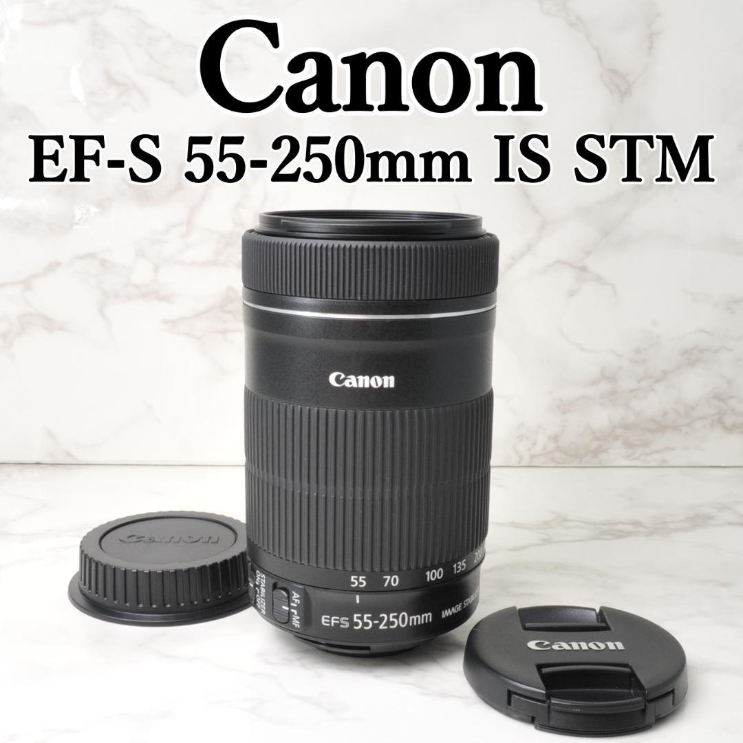 美品❣️Canon EF-S 55-250mm IS STM ⭐️望遠レンズ 高性能な望遠レンズ！Canon EF S55-250mm F4-5.6 IS STM 実写レビュー