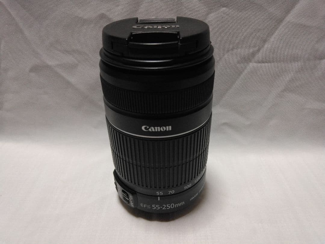 Canon EFS55-250mm 望遠レンズ ジャンク Canon EF-S 55-250mm F4-5 6 IS 望遠ズームレンズ 手ブレ補正付 APS-C