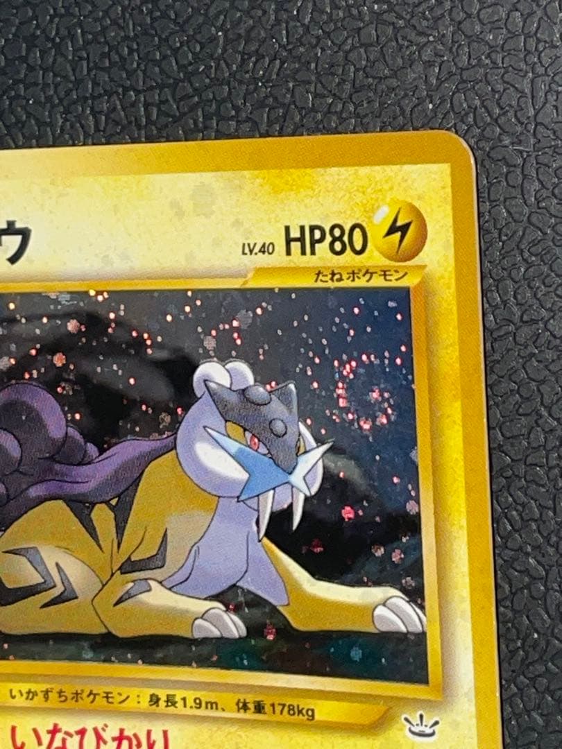 オンライン ストアゲーム・おもちゃ・グッズ - ライコウ ☆ 拡張パック