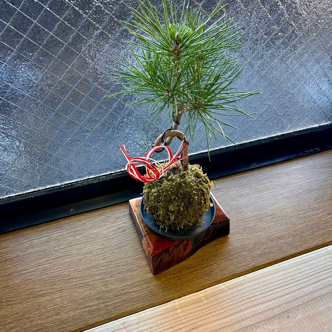 花台 飾り台 木製 フラワースタンド 地板 小品卓 飾り棚 盆栽台