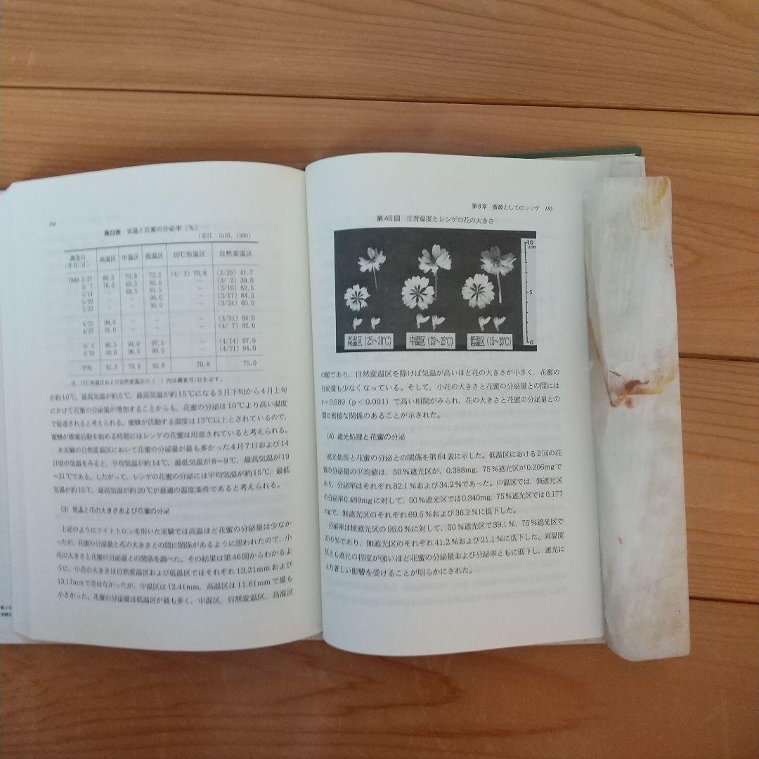 レンゲ全書