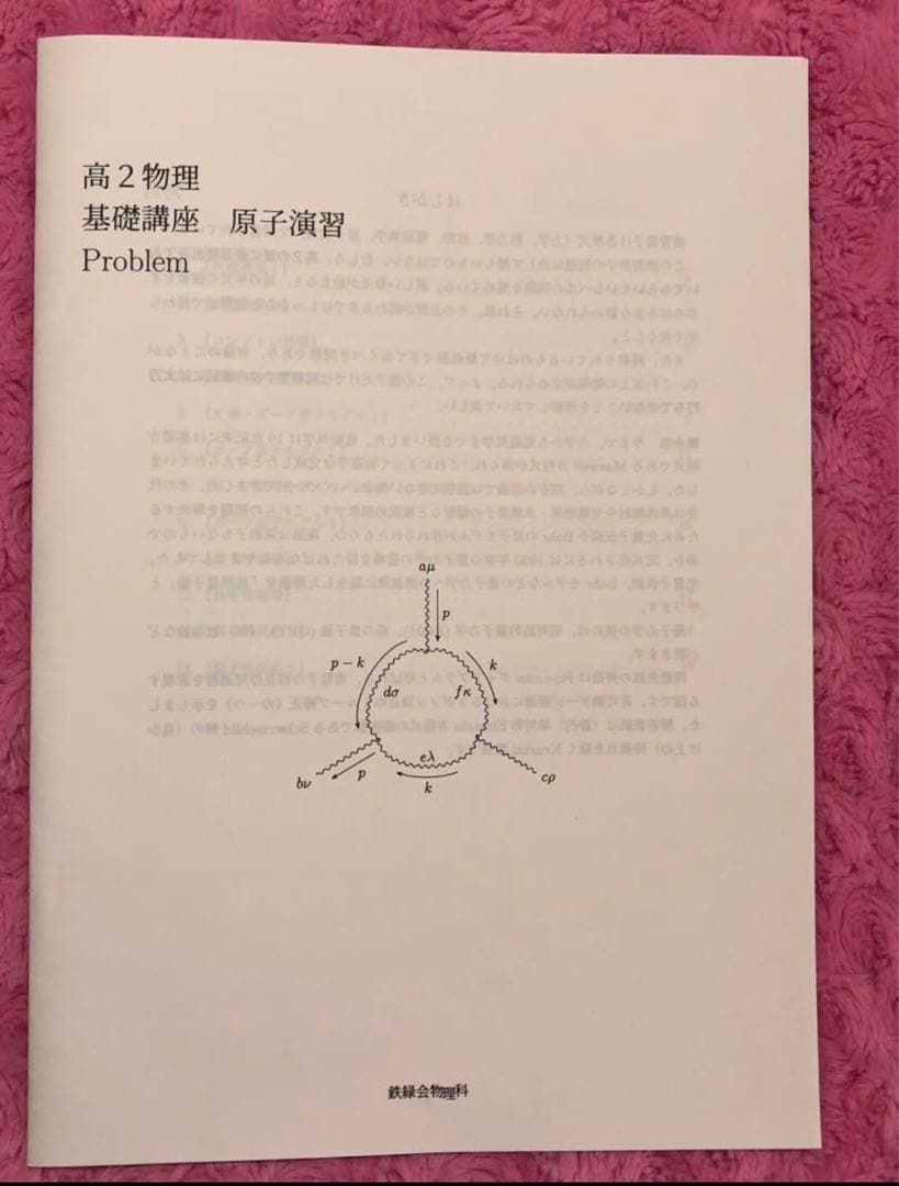 鉄緑会 高2物理 分野別演習&解答解説 全10冊 力学 熱力 原子 電磁気