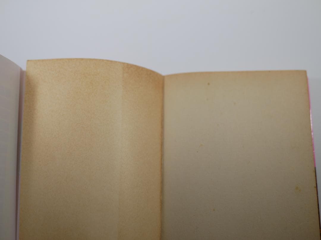 すてきな青春　全２巻セット　松本 猛