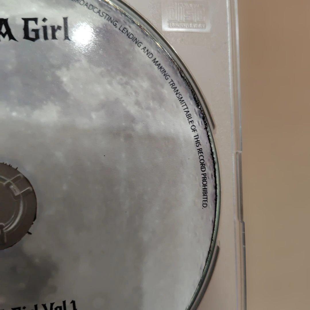 ANI Girl Vol.1 同人 アニメ メタル Mina隊長