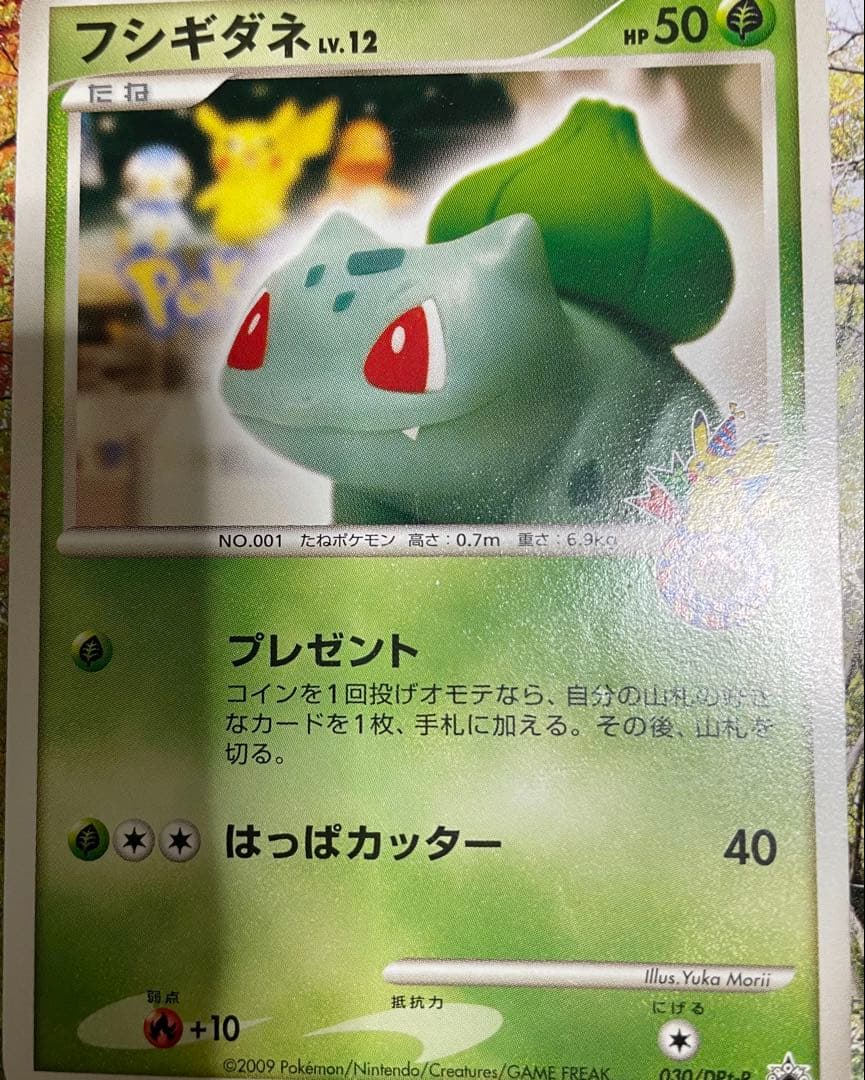フシギダネ Lv.12 ポケモンカード ポケモンセンター 10周年 - メルカリ