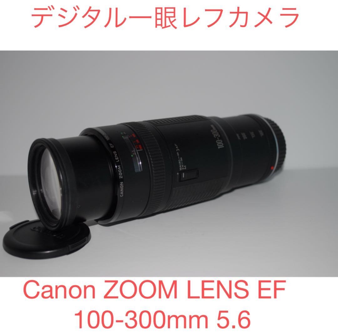 一眼レフカメラCanon ZOOM LENS EF 100-300mm 5.6 - メルカリ