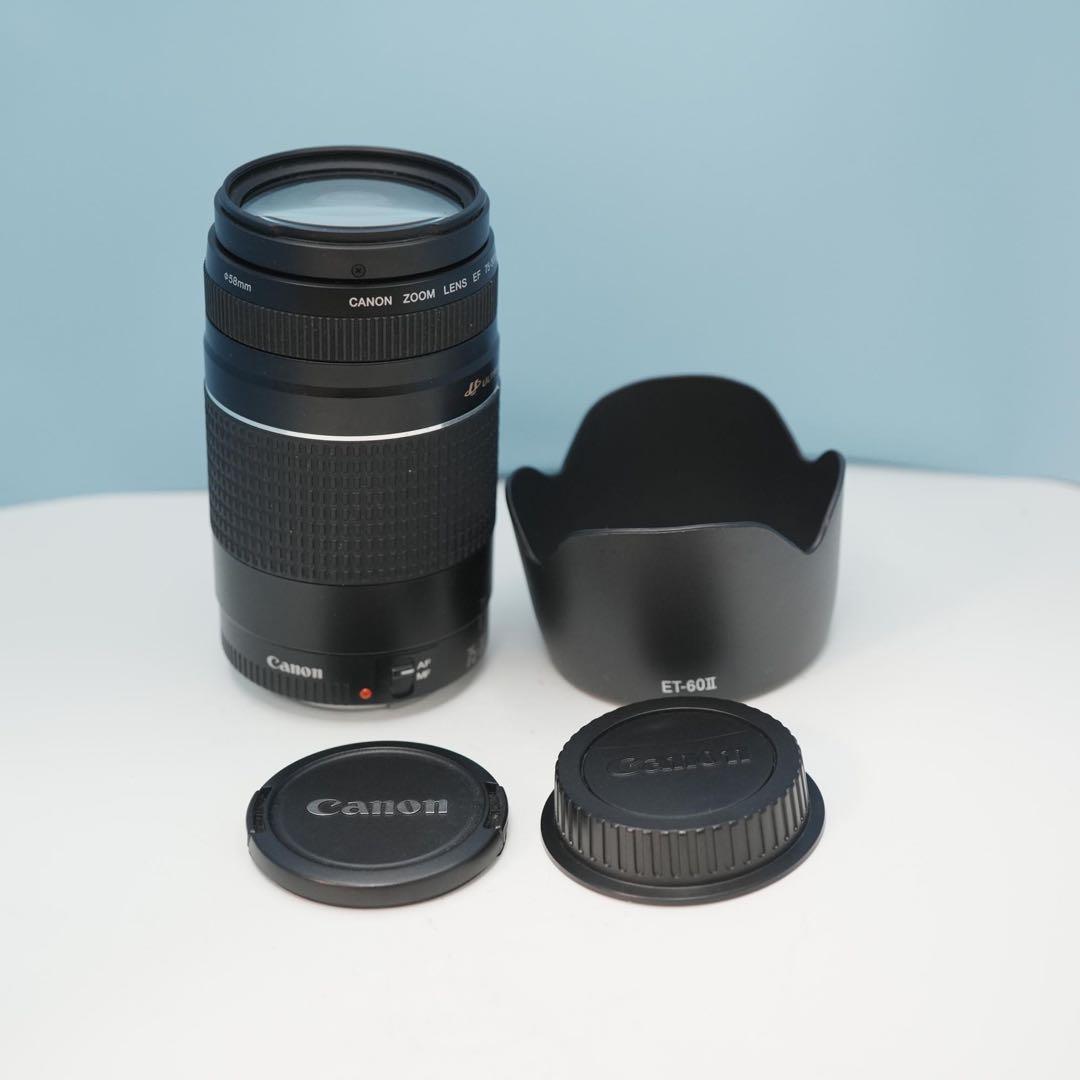 Canon純正 75-300mm 望遠レンズ 美品 a4526 - メルカリ