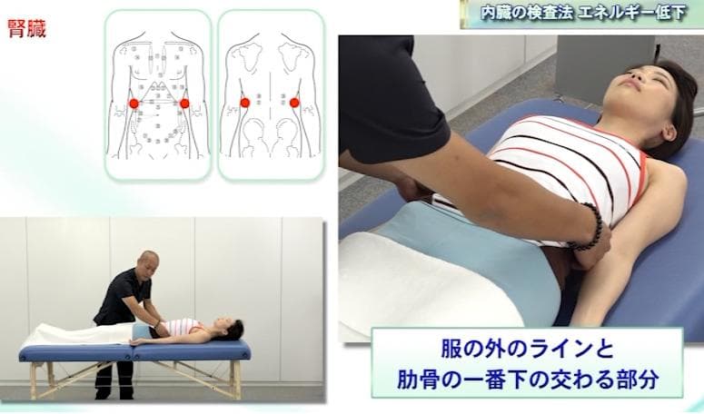 フルスキャンシステム・マスタープログラム セルフキネシオロジー