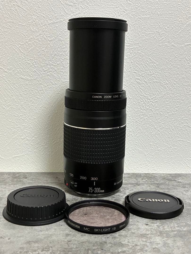 ⭐️美品⭐️ Canon EF 75-300mm F/4-5.6 III 望遠レンズ