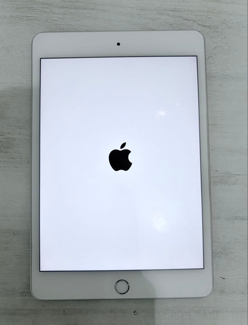 iPad mini 第5世代 cellular セルラー ApplePencil Apple iPad mini 7.9インチ 第5世代 Wi-Fi+Cellular 256GB 2019年春