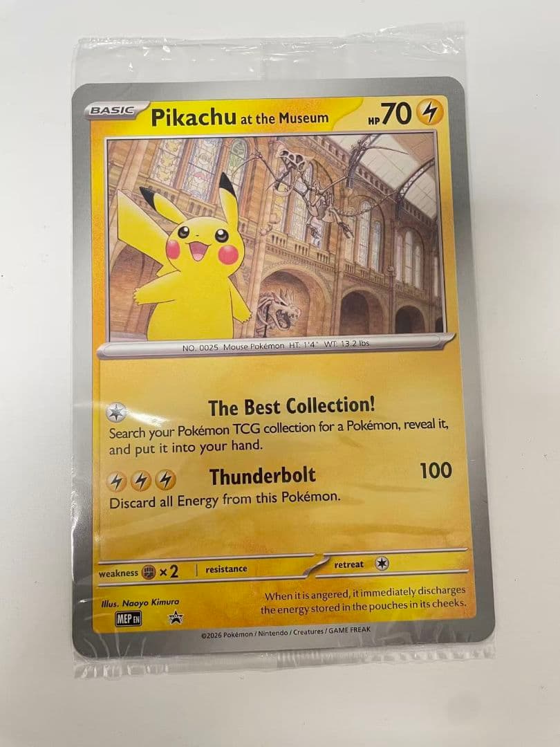 新品未開封】こ*う様 イギリス ロンドン 自然史博物館ピカチュウ