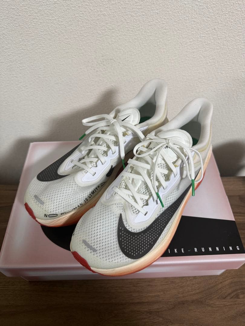 ナイキ ズーム フライ 6 \"Eliud Kipchoge\" 25.5cm