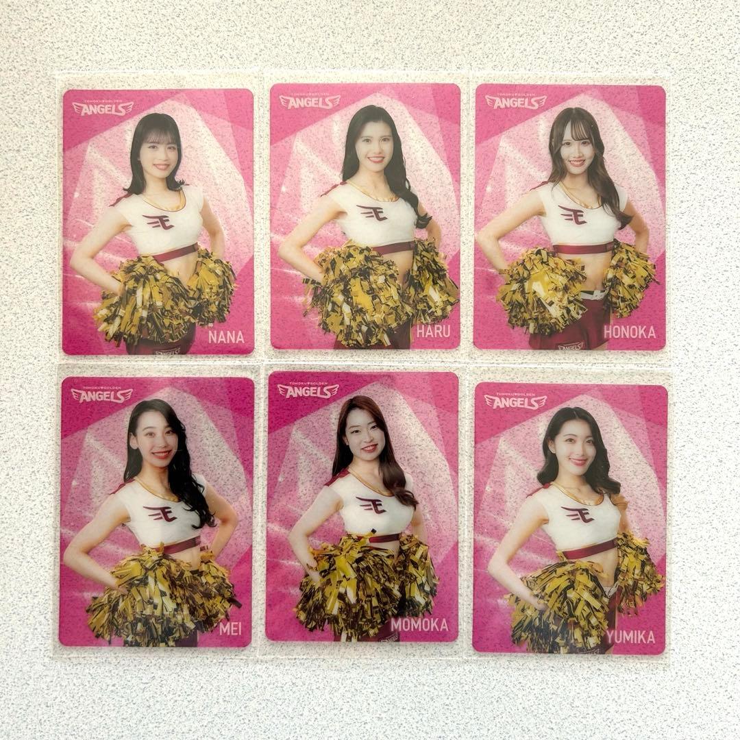 東北ゴールデンエンジェルス2024 シーズン グルメカード 全22枚 - メルカリ