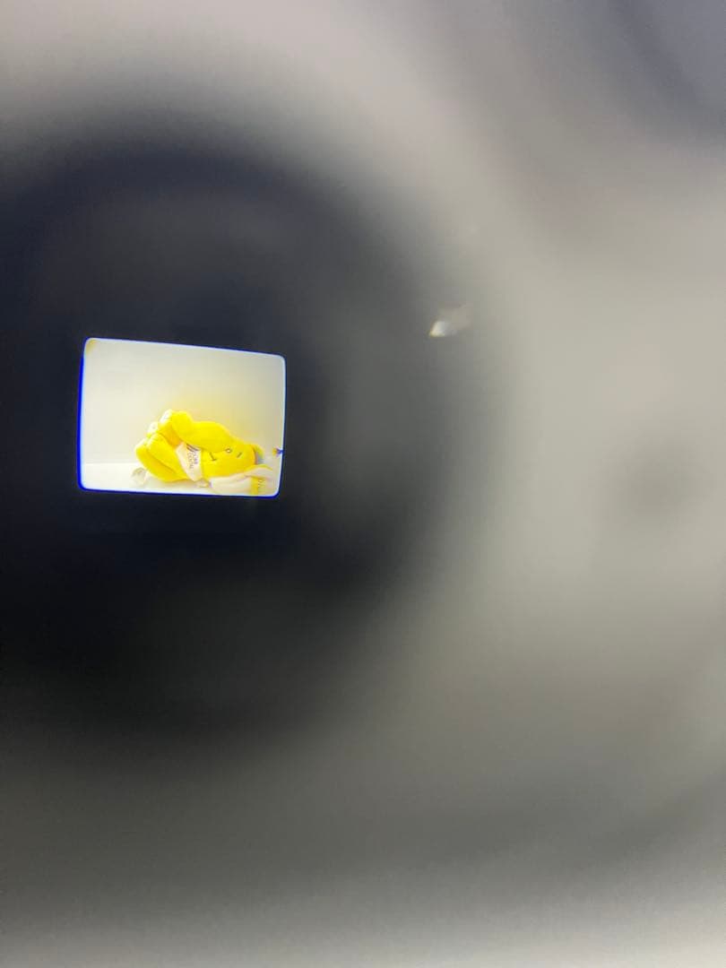 極美品）名機 PENTAX Optio 750Z 自撮り2種類の充電器付き - メルカリ