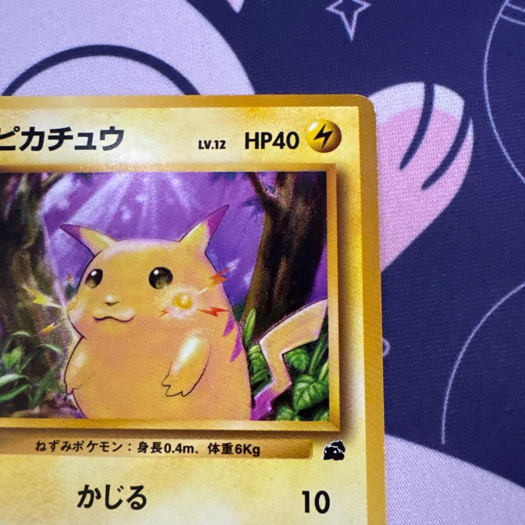 ポケモンカード旧裏 ピカチュウLV.12 No.025 希少 フシギダネマーク