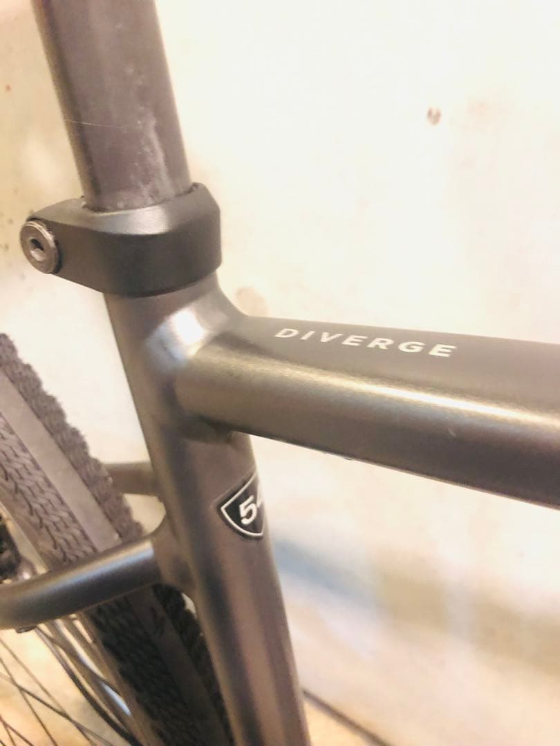 SPECIALIZED】DIVERGE E5 カスタム 油圧 RIVAL1 - メルカリ
