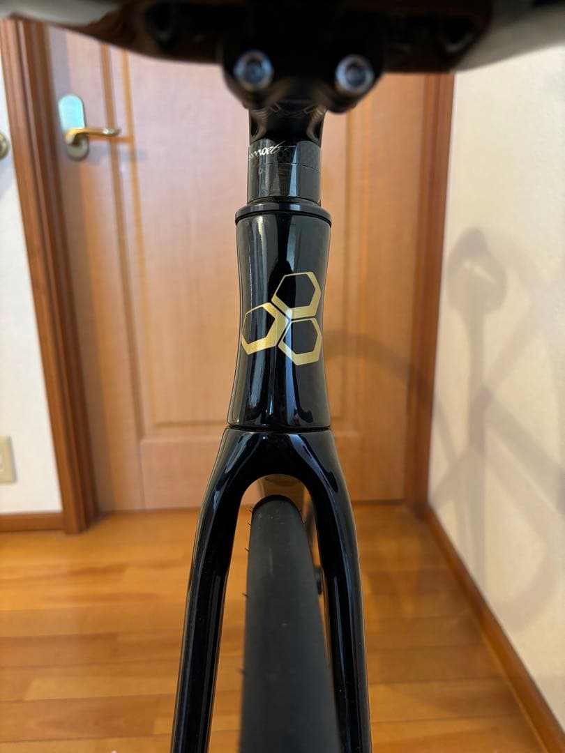 WIAWIS TXT REV9 SD カーボンフレーム - メルカリ