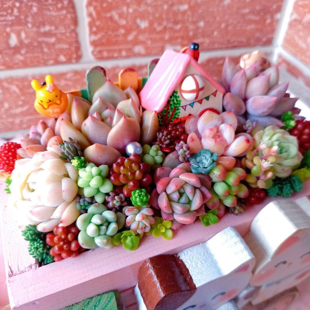 ❤️多肉植物❤️そのまま飾れる寄せ植え❤️三毛猫ちゃん汽車