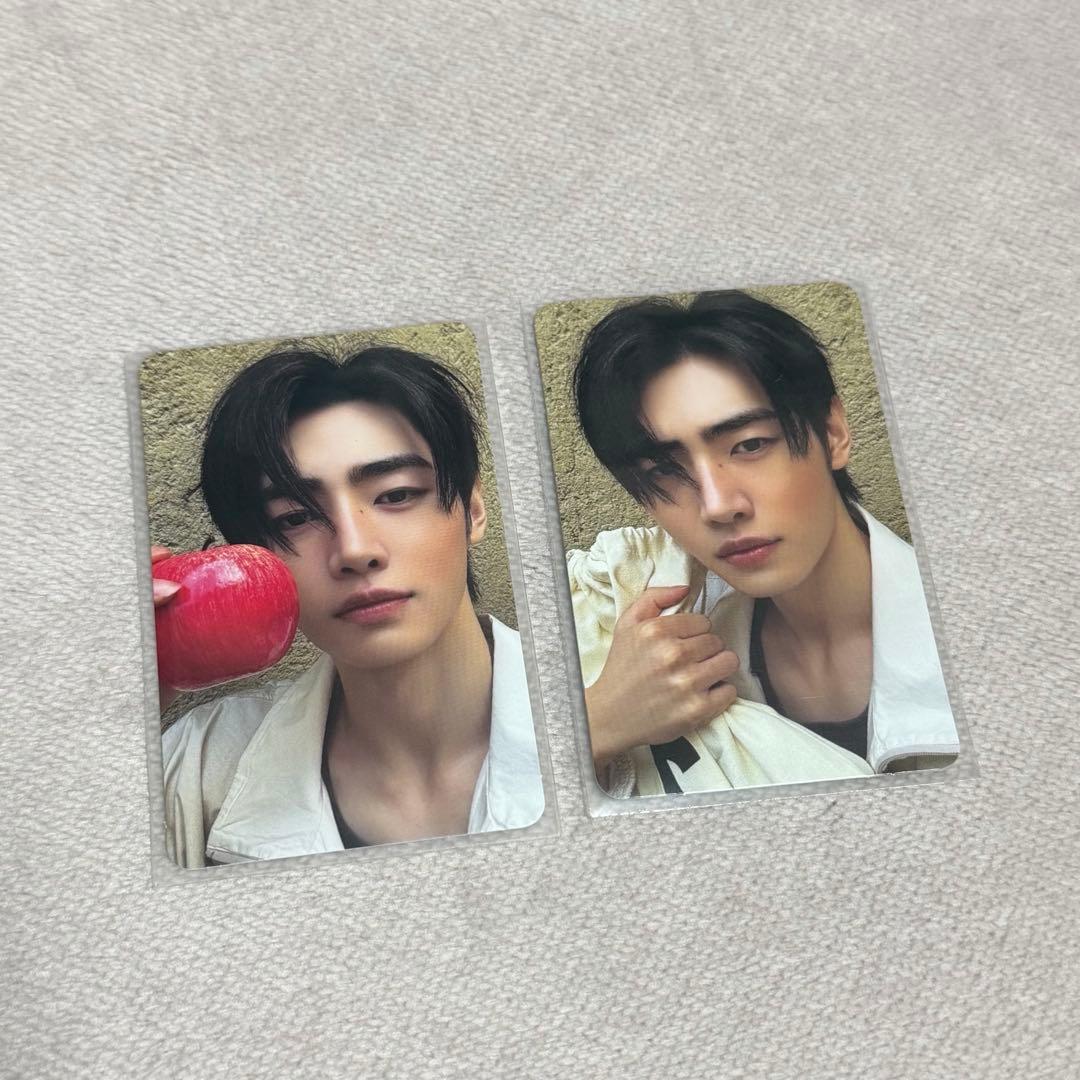 ENHYPEN THE SIN:VANISH トレカ ソンフン セット - メルカリ