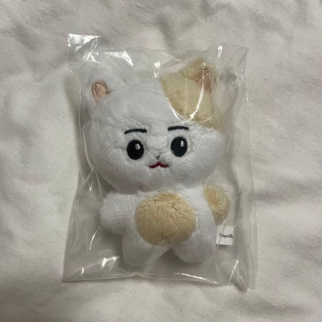 ENHYPEN ヒスン ドール ぬいぐるみ 人形 엔니멀즈 - メルカリ