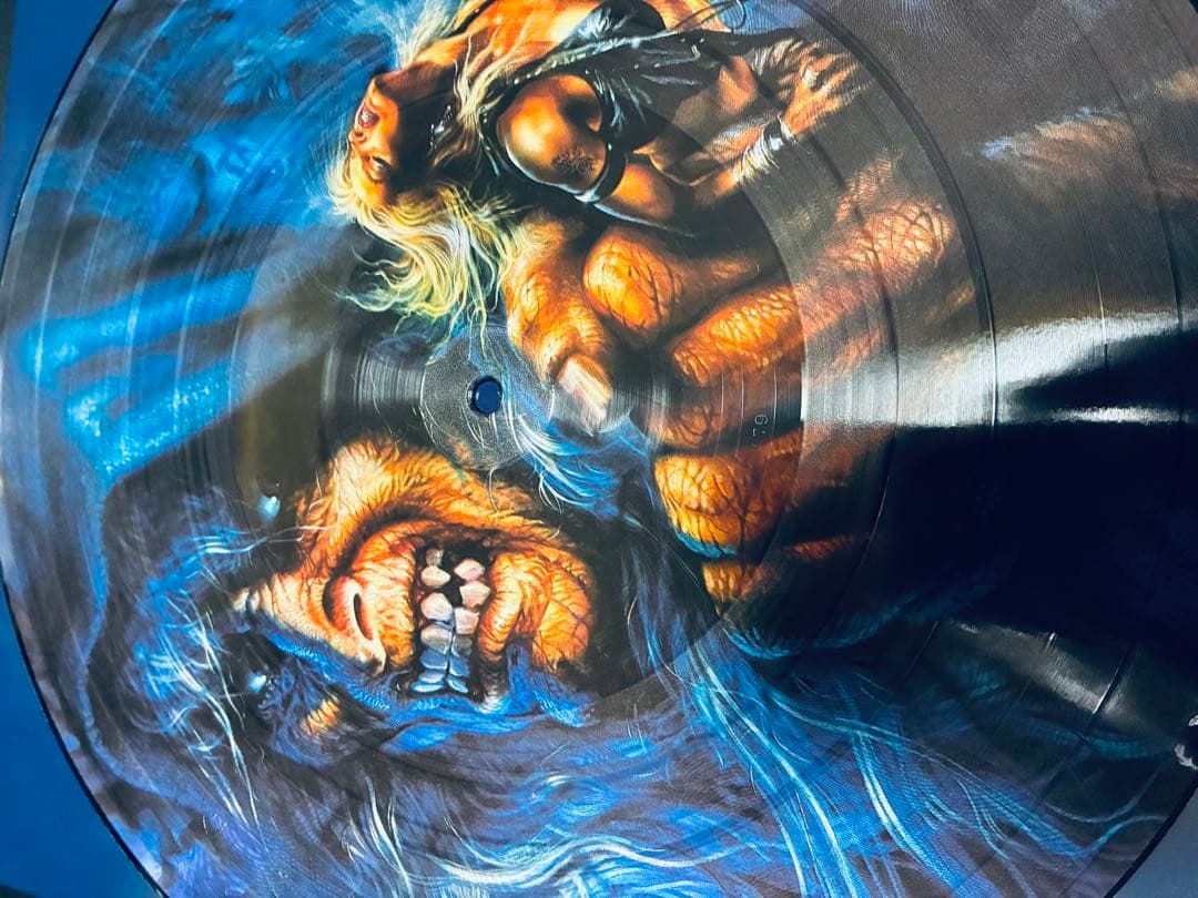 WARLOCK TRIUMPH AND AGONY ピクチャーレコード - メルカリ