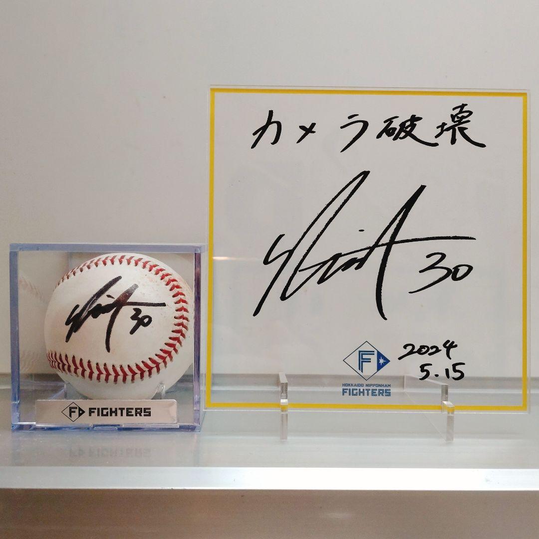 日本ハム 郡司裕也選手 直筆サイン入りエスコン実使用試合球 アクリル