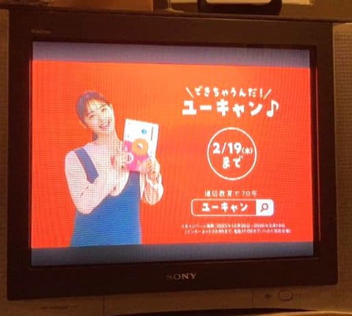 SONYブラウン管テレビ 2002年製トリニトロンKV-25DA55 地デジ対応