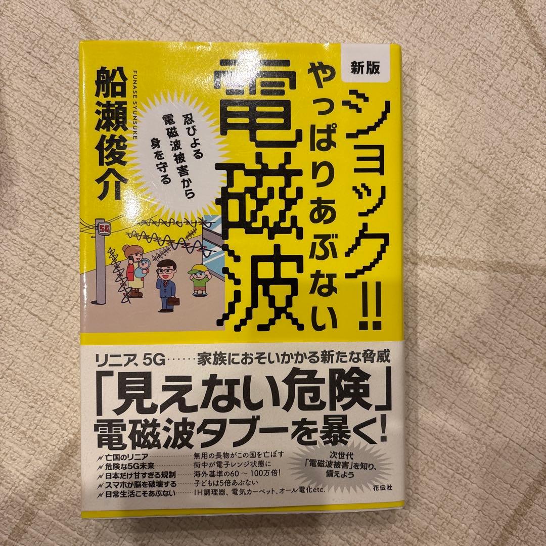 ショック!!やっぱりあぶない電磁波 忍びよる電磁波被害から身を守る