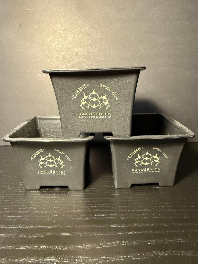 新品未使用 3個セット 鶴仙園 spicygem cjplants プラ鉢 - メルカリ