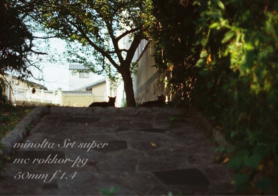 ☆ミノルタ srt ☆ロッコールf1.4☆完動品＊美品＊初期保証☆作例多数