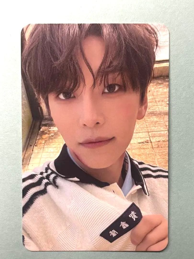 ALD1 EUPHORIA トレカ シンロン - メルカリ