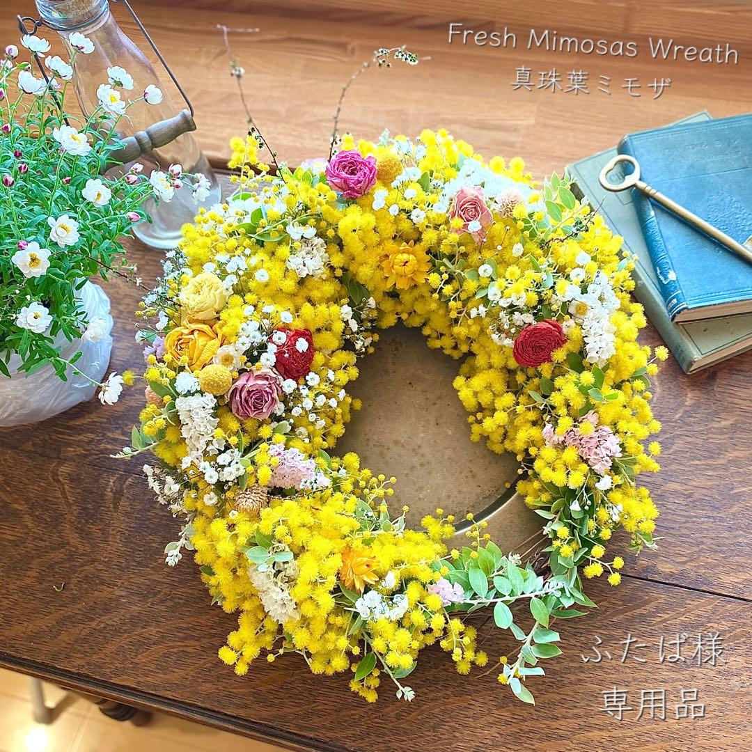 ☘️専用品☘️ フレッシュ ミモザ フル リース パールアカシア - メルカリ
