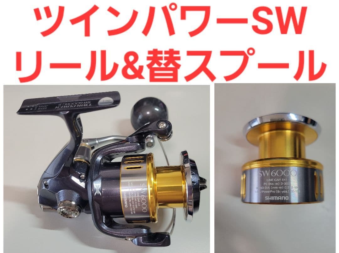 15 TWIN POWER SW6000HG、8000HG 2台セット