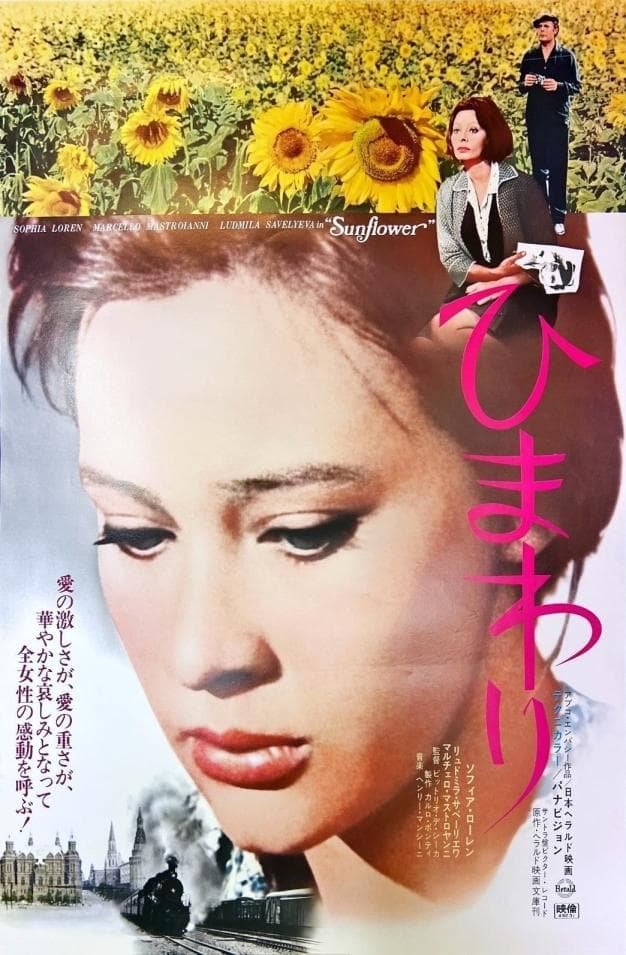 送込）映画「ひまわり」 1970年 ソフィア・ローレン リュドミラ