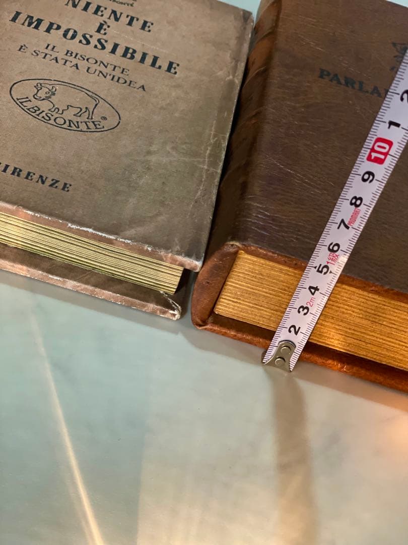 希少 イルビゾンテ プエブコ 別注 エンプティーブック 本 洋書