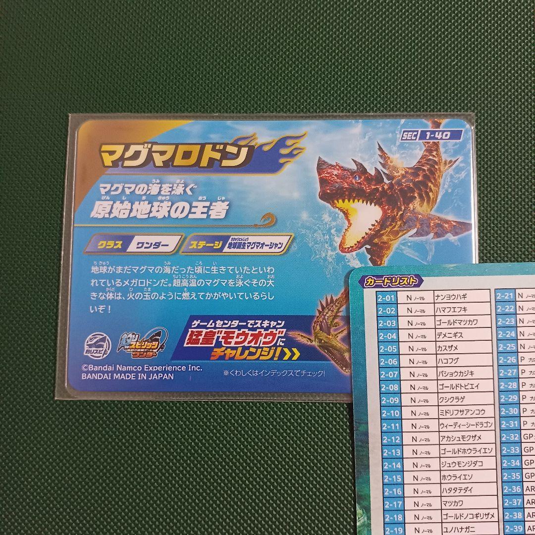 カードダス 釣りスピリッツワンダーVol.1 マグマロドン シークレット