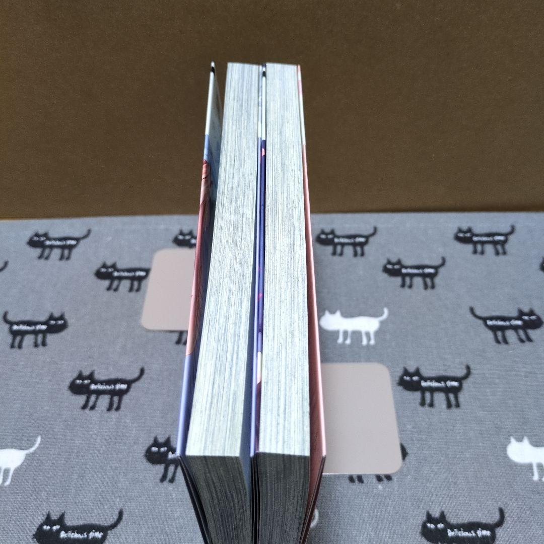 愛が重すぎる小谷くんは、絶対に彼女を逃さない 2