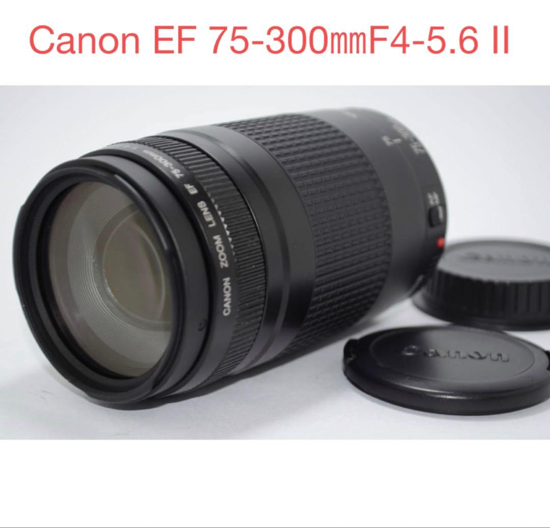 ⭐︎一眼レフカメラ☆望遠レンズ☆Canon EF 75-300㎜F4-5.6 Ⅱ☆ Amazon.com : Canon EF 75-300mm f/4-5.6 III Telephoto Zoom Lens for