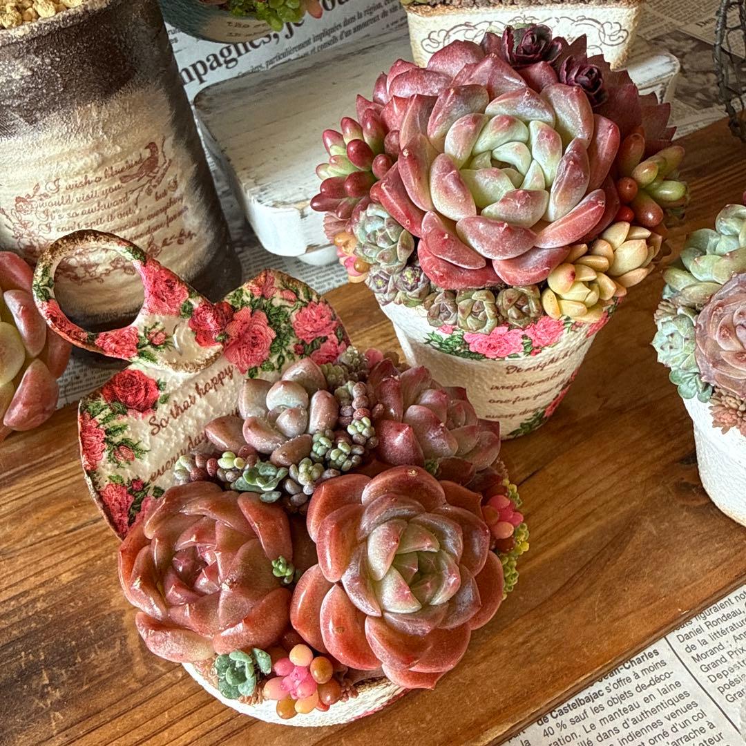 ❤︎Roseリメイク鉢❤︎ そのまま飾れる多肉植物寄せ植え リメ鉢