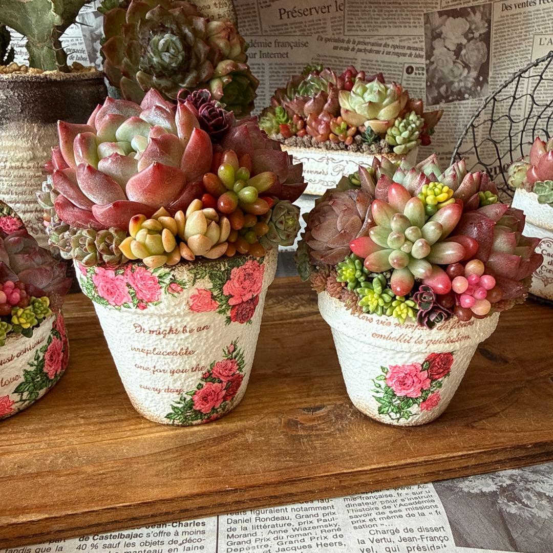 ❤︎Roseリメイク鉢❤︎ そのまま飾れる多肉植物寄せ植え リメ鉢