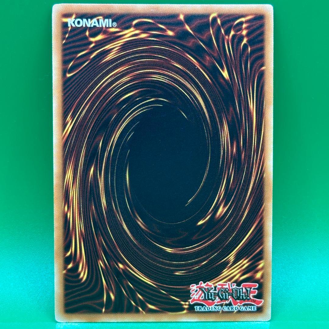 遊戯王 英語 エンシェント・ホーリー・ワイバーン ANPR レリーフ 海外