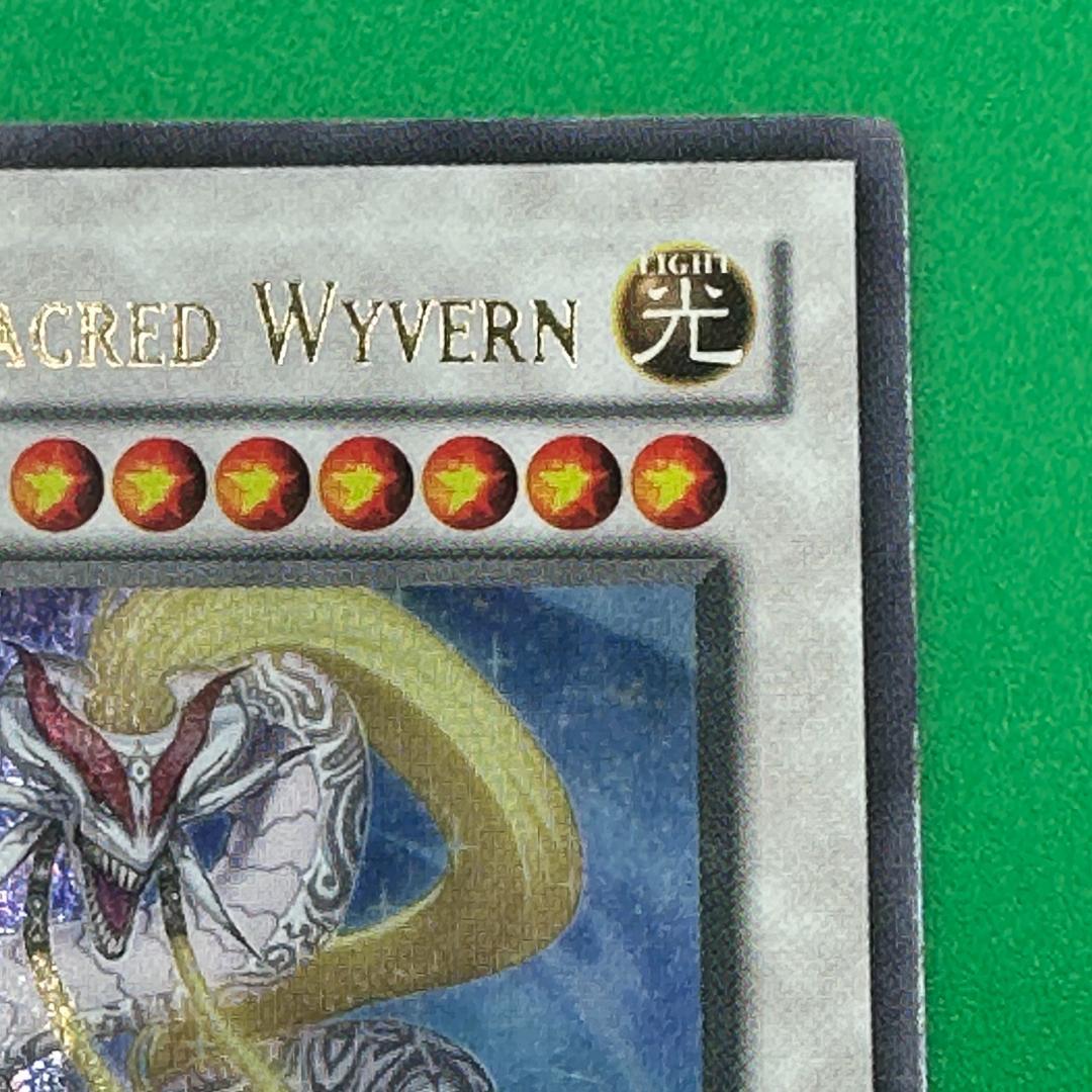 遊戯王 英語 エンシェント・ホーリー・ワイバーン ANPR レリーフ 海外