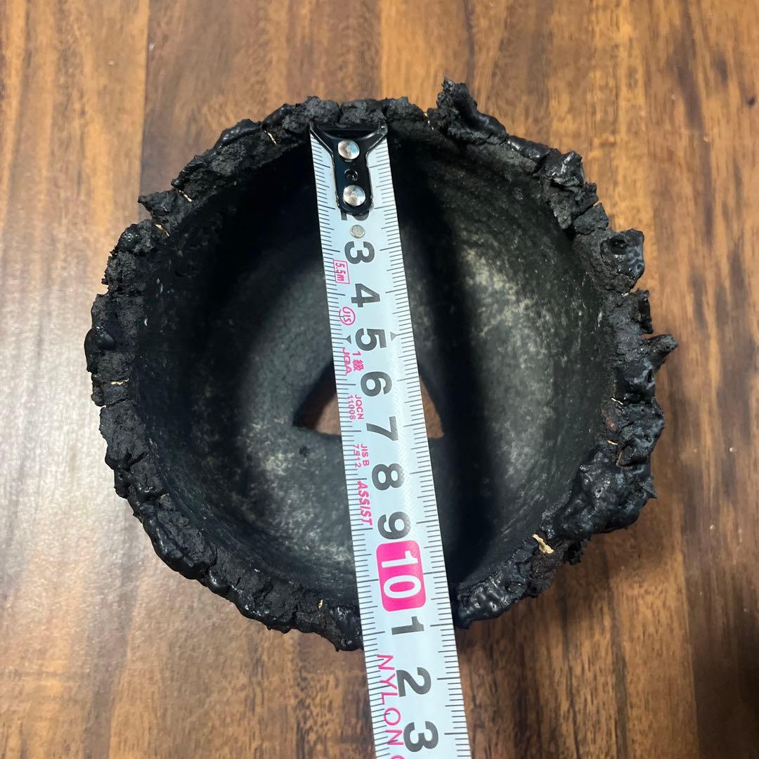 ゴジラ鉢 goat 塊根植物 アガベ グラキリス - メルカリ